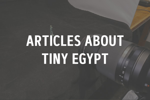 menu image for articles about tiny egypt link